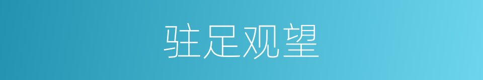 驻足观望的意思