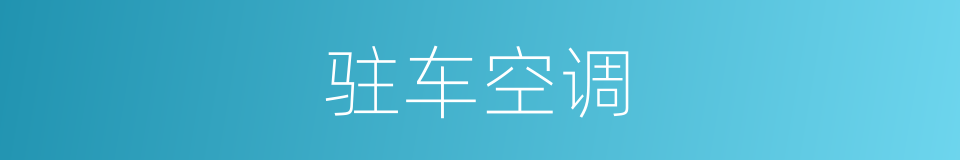 驻车空调的同义词