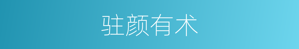 驻颜有术的意思