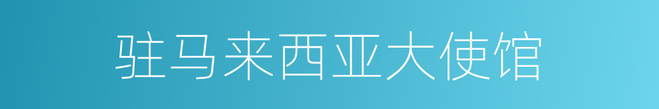 驻马来西亚大使馆的同义词