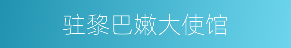驻黎巴嫩大使馆的同义词