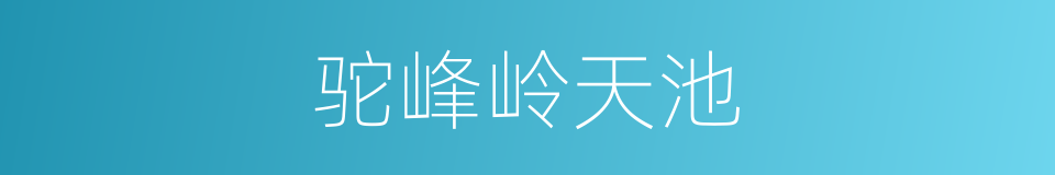 驼峰岭天池的同义词