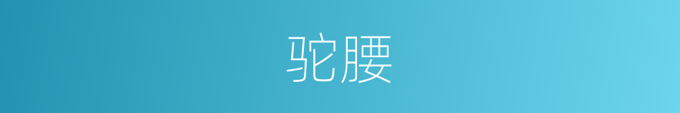 驼腰的意思