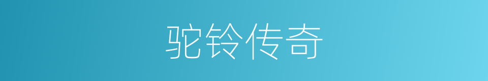 驼铃传奇的同义词