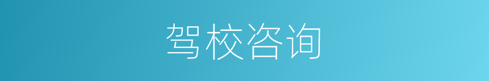 驾校咨询的同义词