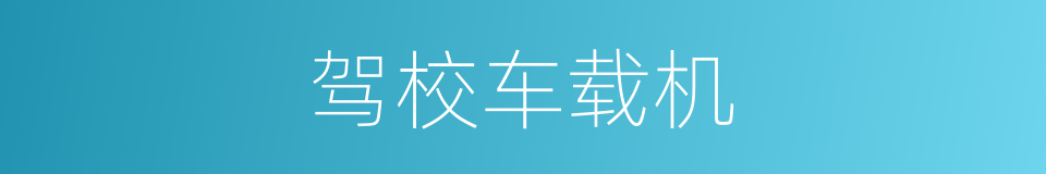 驾校车载机的同义词