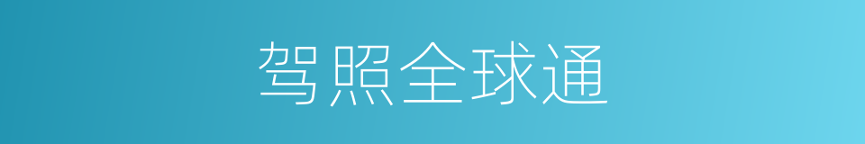 驾照全球通的同义词