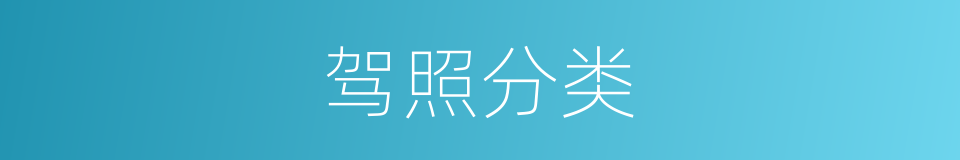 驾照分类的同义词