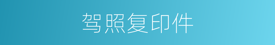 驾照复印件的同义词
