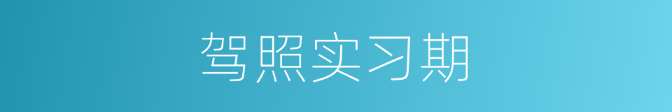 驾照实习期的同义词