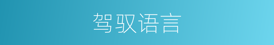 驾驭语言的同义词
