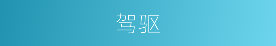 驾驱的意思