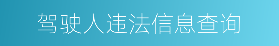 驾驶人违法信息查询的同义词