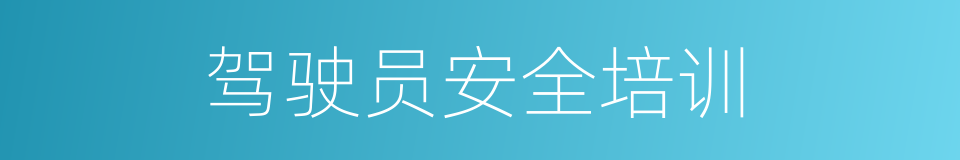 驾驶员安全培训的同义词