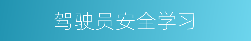 驾驶员安全学习的同义词