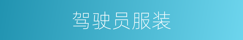 驾驶员服装的同义词