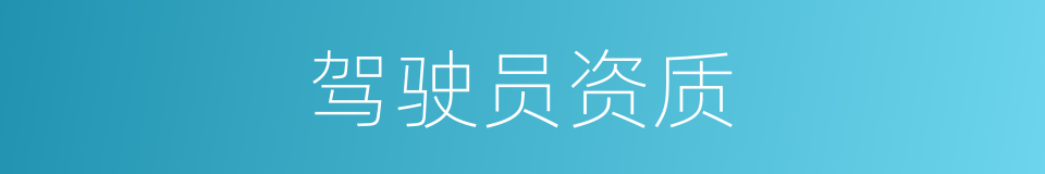 驾驶员资质的同义词