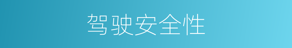 驾驶安全性的同义词
