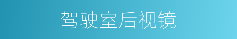 驾驶室后视镜的同义词