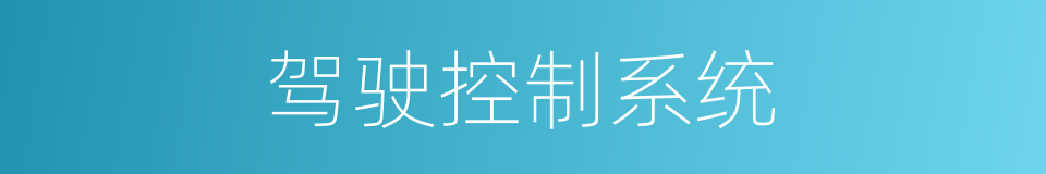 驾驶控制系统的同义词
