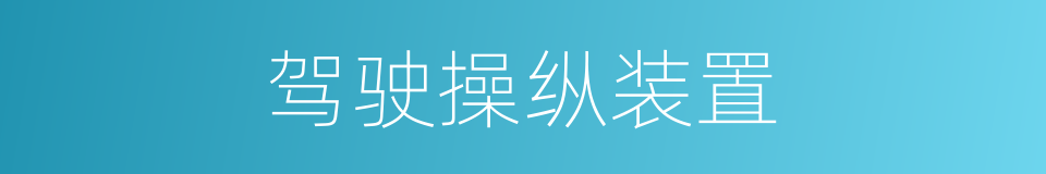 驾驶操纵装置的同义词