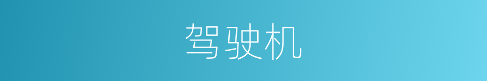 驾驶机的同义词