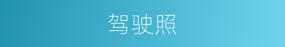 驾驶照的同义词