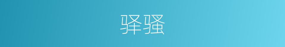 驿骚的意思