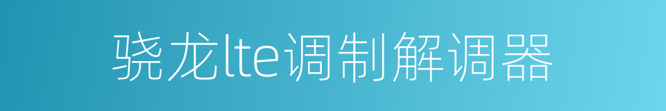 骁龙lte调制解调器的同义词