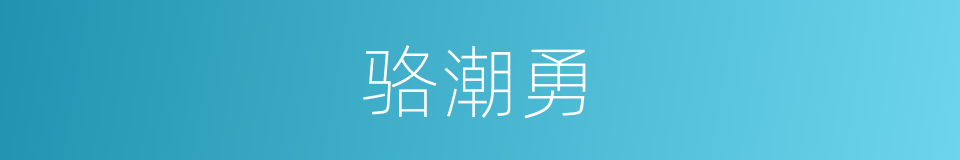 骆潮勇的同义词