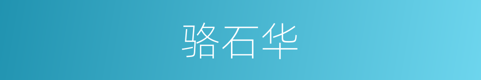 骆石华的同义词