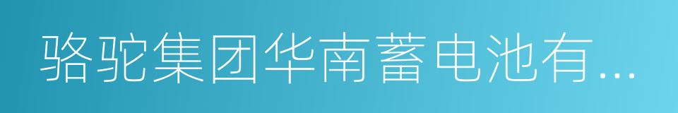 骆驼集团华南蓄电池有限公司的同义词