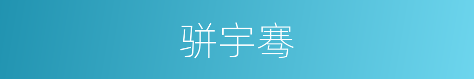 骈宇骞的同义词