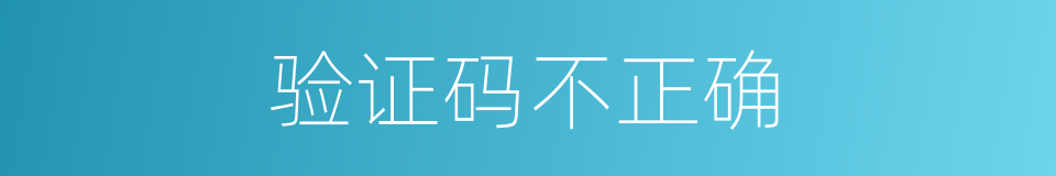 验证码不正确的同义词