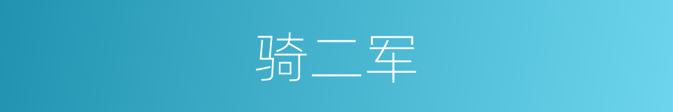 骑二军的同义词