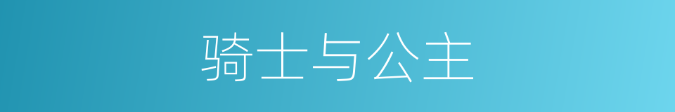 骑士与公主的同义词