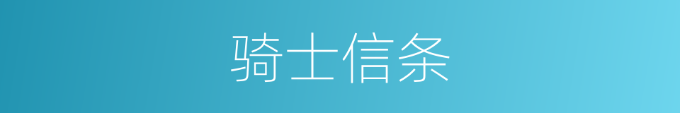 骑士信条的同义词