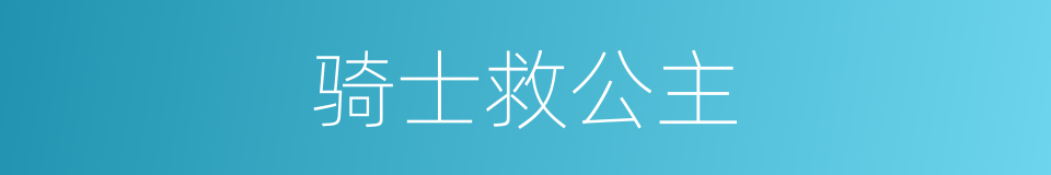 骑士救公主的同义词