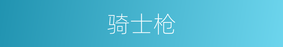 骑士枪的同义词