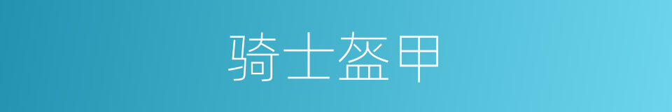 骑士盔甲的同义词