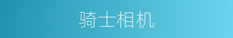 骑士相机的同义词