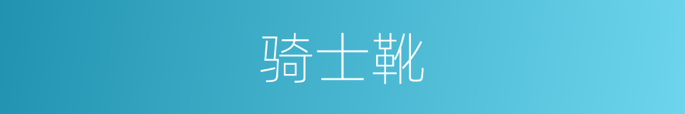 骑士靴的同义词