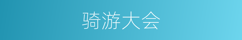 骑游大会的同义词