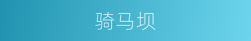 骑马坝的同义词