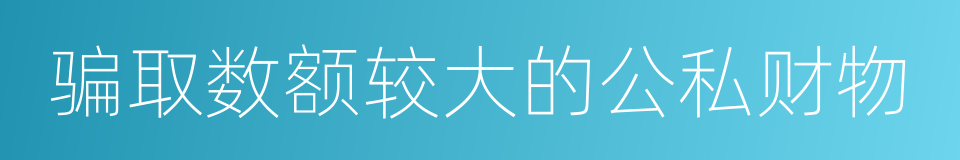 骗取数额较大的公私财物的同义词