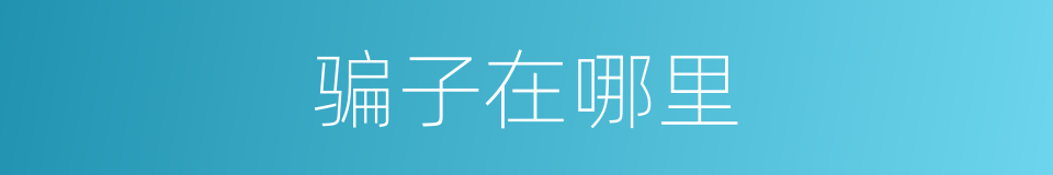 骗子在哪里的同义词