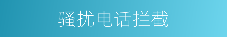 骚扰电话拦截的同义词