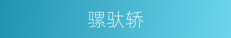 骡驮轿的同义词