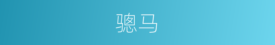骢马的意思