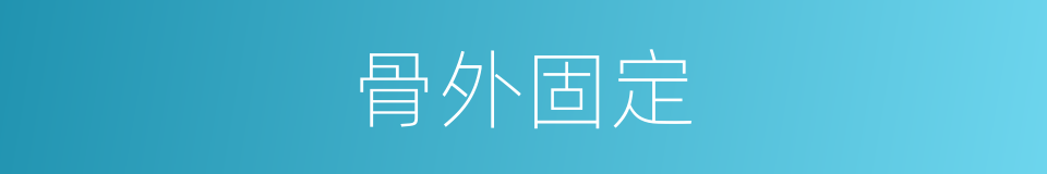 骨外固定的同义词